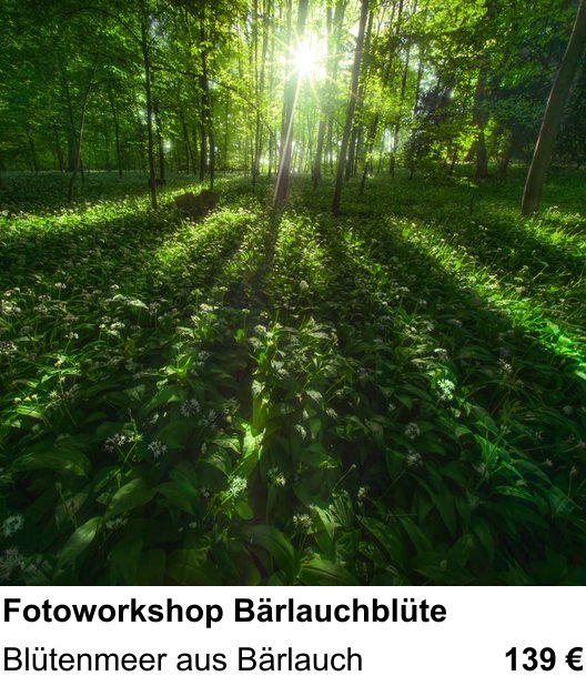Intensiver Foto-Workshop über Fotoworkshop Bärlauchblüte: Blütenmeer aus Bärlauch