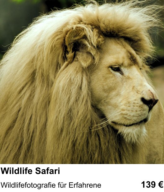 Kamera-Fotokurs in Bonn: Wildlife Safari