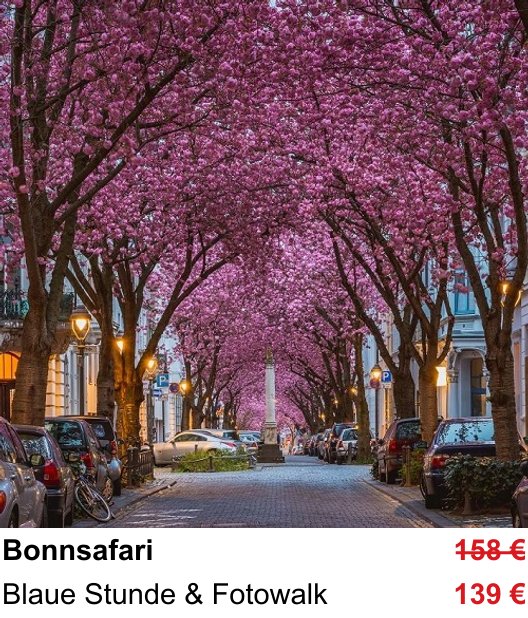 Bonnsafari als Kamera-Fotokurs