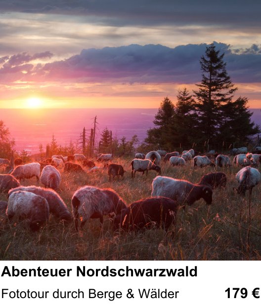 Intensiver Foto-Workshop über Abenteuer Nordschwarzwald: Fototour durch Berge & Wälder