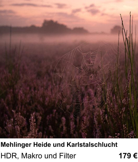 Intensiver Foto-Workshop über Mehlinger Heide und Karlstalschlucht: HDR, Makro und Filter
