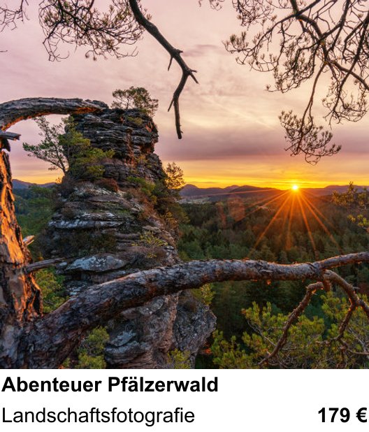 Intensiver Foto-Workshop über Abenteuer Pfälzerwald: Landschaftsfotografie