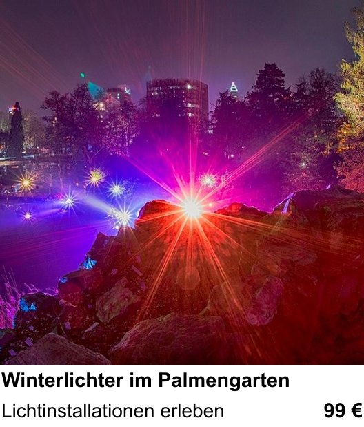 Intensiver Foto-Workshop über Winterlichter im Palmengarten: Lichtinstallationen erleben
