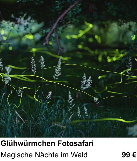 Intensiver Foto-Workshop über Glühwürmchen Fotosafari: Magische Nächte im Wald