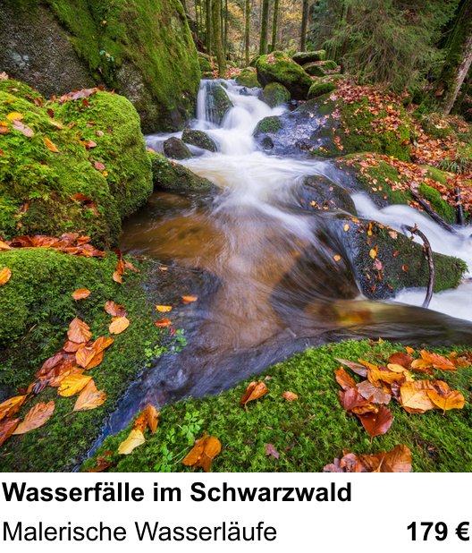 Intensiver Foto-Workshop über Wasserfälle im Schwarzwald: Malerische Wasserläufe