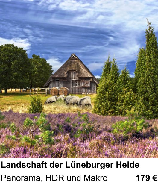 Intensiver Foto-Workshop über Landschaft der Lüneburger Heide: Panorama, HDR und Makro