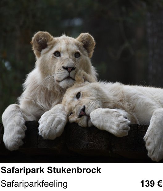 Intensiver Foto-Workshop über Safaripark Stukenbrock: Safariparkfeeling